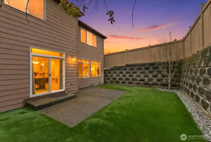 Low-Maintenance Turf  Back Yard