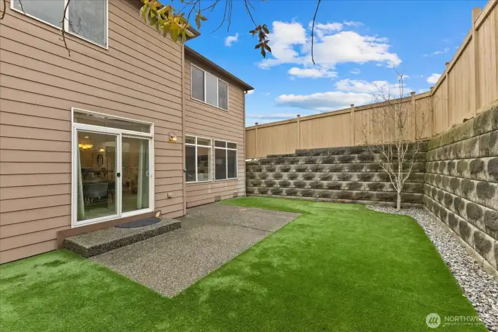 Low-Maintenance Turf  Back Yard
