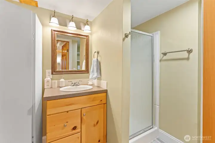 Downstairs bathroom with shower