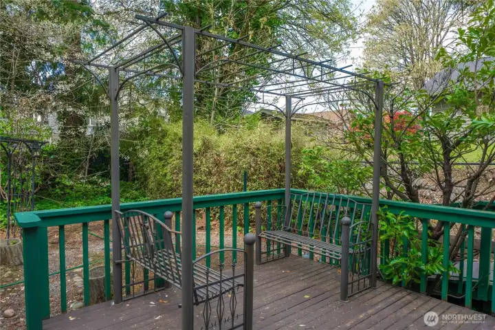 Backyard that goes on forever