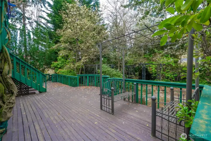 Plenty of room in your own yard for entertaining