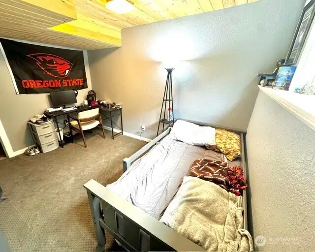 Lower level bedroom 2