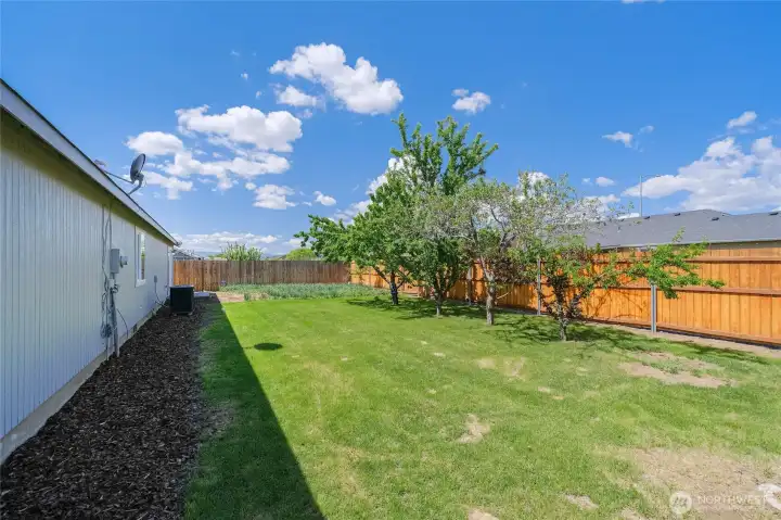 fully fenced backyard with garden area