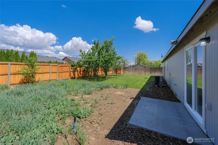 Backyard with patio, garden area and yard