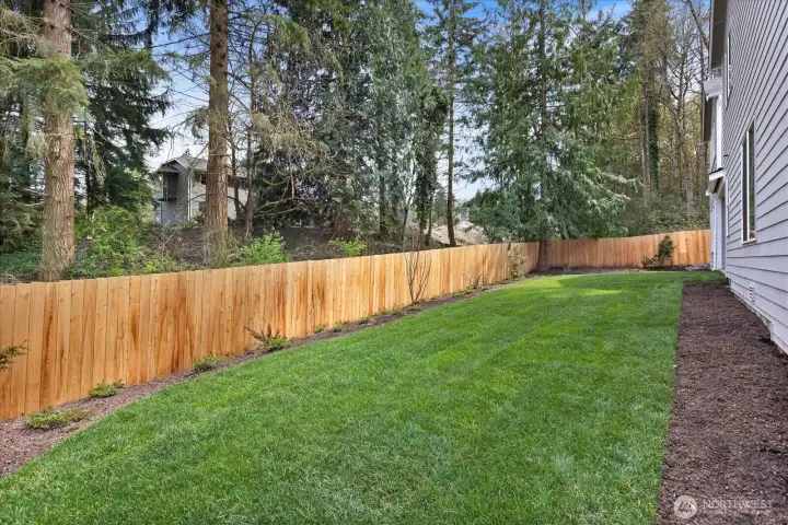 Fully Fenced Backyard Fully Fenced Backyard