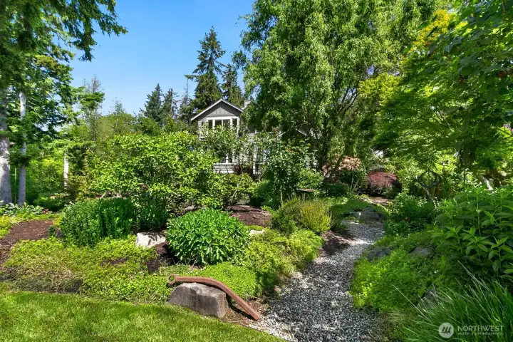 Front Yard