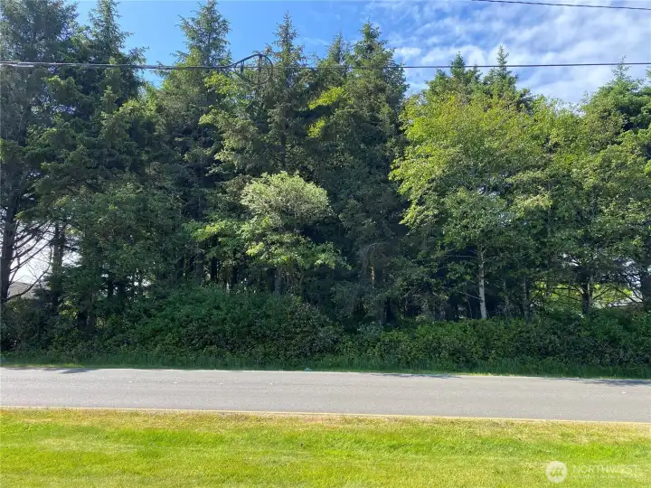 Looking straight on from Ocean Shores Blvd