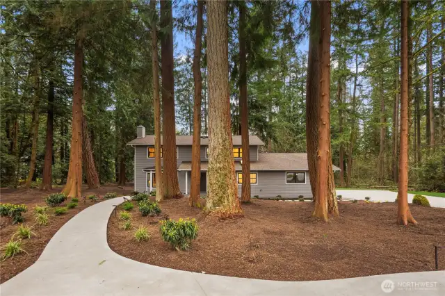 The privacy, the views of your property and the canopy of Evergreens make this a true PNW gem. New driveways and landscape lighting welcome you and your visitors. Tons of space on this 1.75 acre, parking for everything, cars, toys, RV...there is room for all your life long living needs!