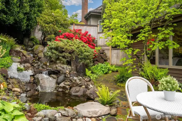 Take a break and listen to the waterfall and enjoy watching the fish.