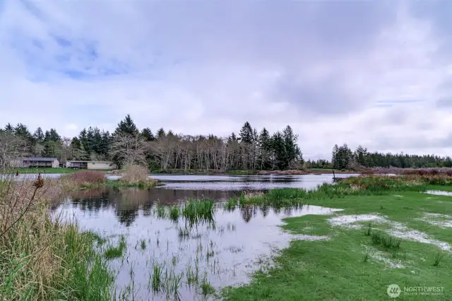 Paul's lake - east side of the property