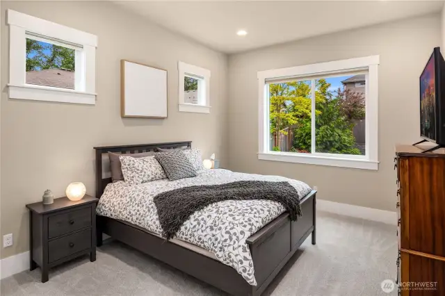 Downstairs bedroom
