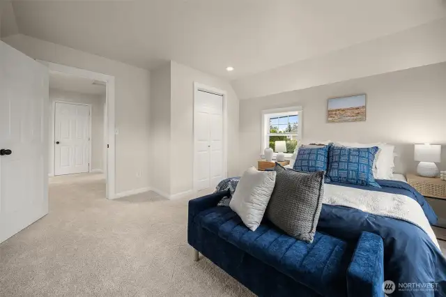 All new Carpet