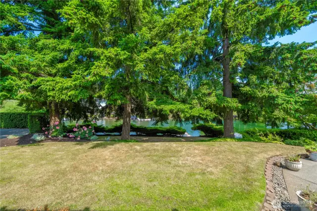 From the backyard access the deep water inlet and dock.  Trees create privacy and protection from random balls from the golf course.