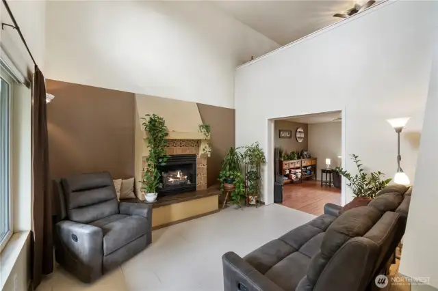 Electric Fireplace