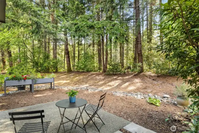 RARE, private yard with herbs, berries, & space to entertain