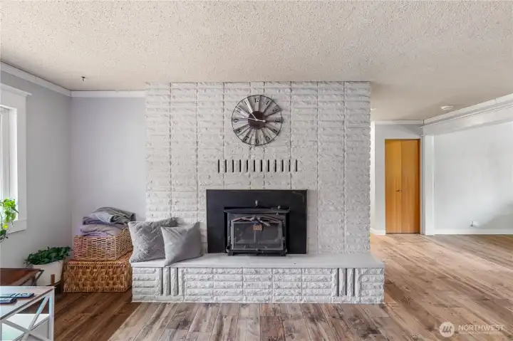 Main living area fireplace