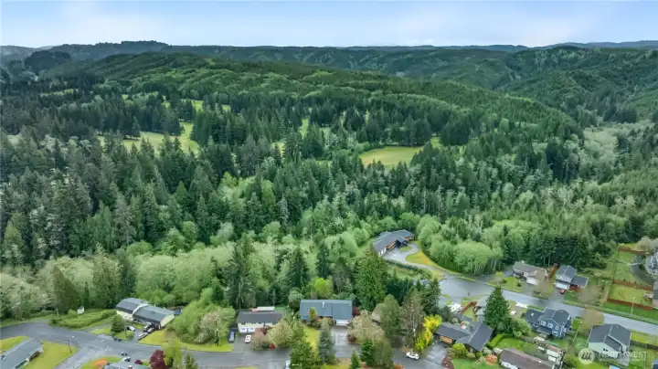 Nothing but forest behind the home for miles and miles