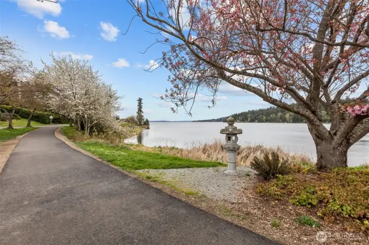 Walking distance to Seward Park!