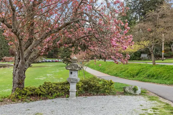 Walking distance to Seward Park!