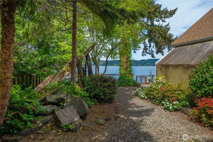 Main house side yard