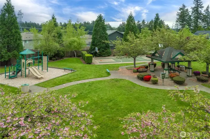 Nearby Park