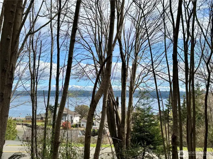With a little tree clearing, your perfect water vistas await!