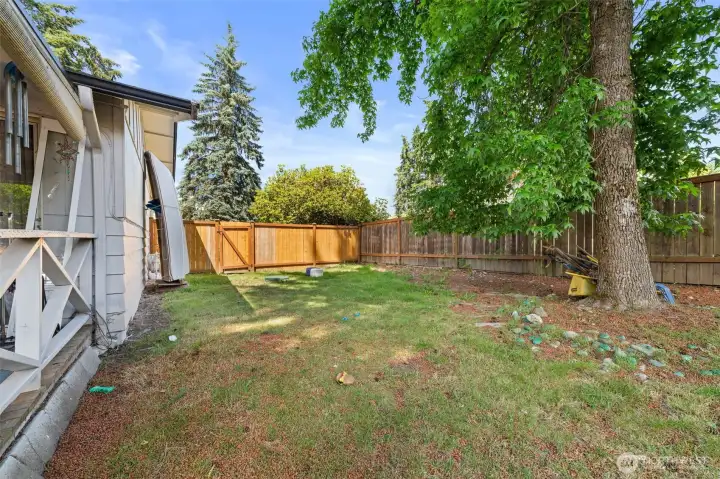 Back yard