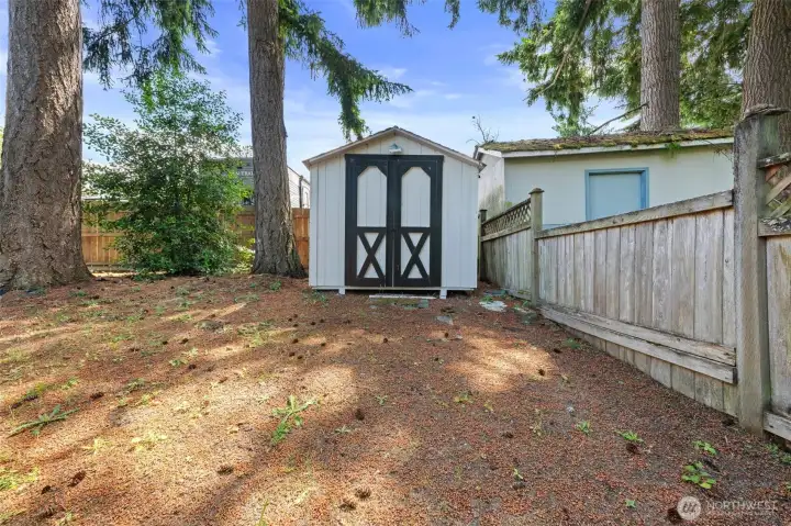 Back yard