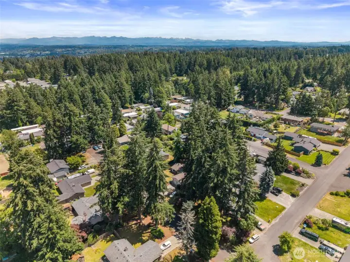 Aerial of area