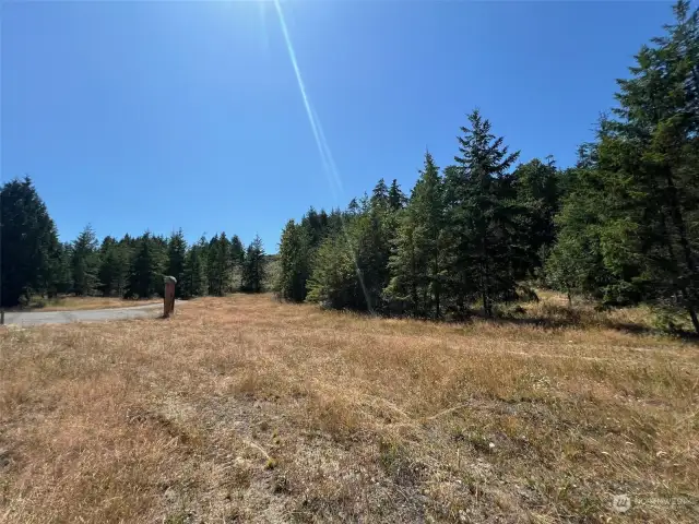 More of hill top homesite area