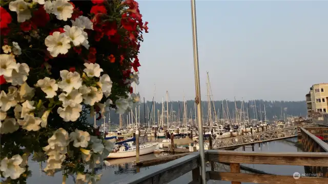 View from boardwalk