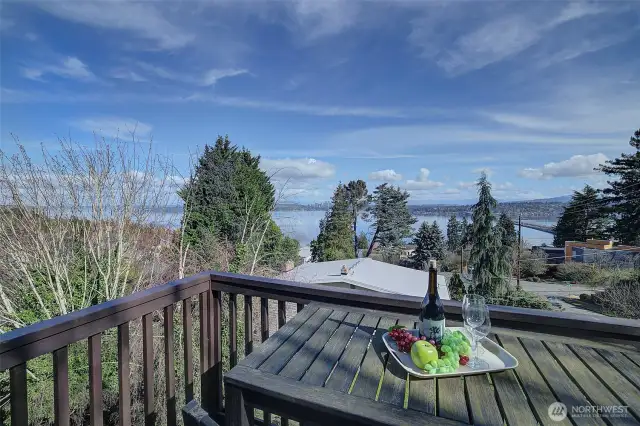 Deck off the family room...just incredible views