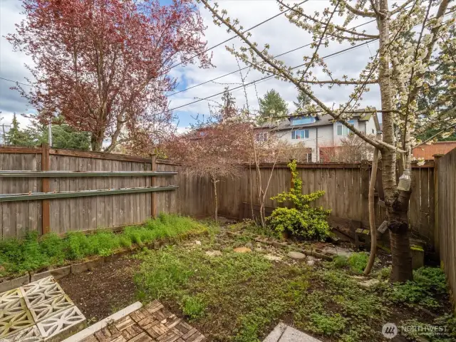 Another look at the garden space.