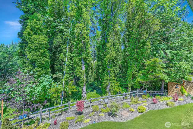 A peace-inducing and calming view of the wooded space behind the property. A park-like setting in your own backyard. Regular sightings of deer, owls, native birds, raccoons and more NW wildlife.