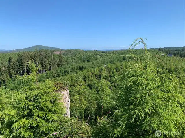 view from neighboring property