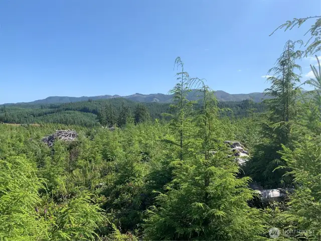view from neighboring property