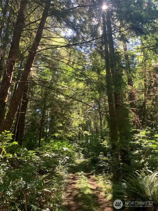 easement road to property