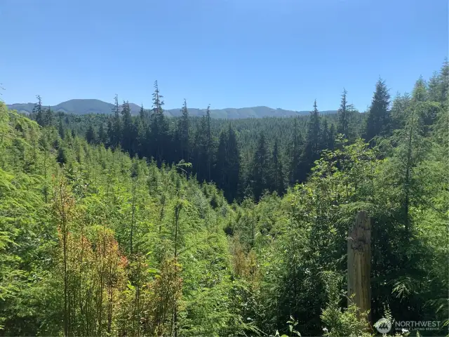 view from neighboring property