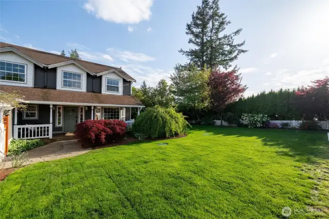 Front yard
