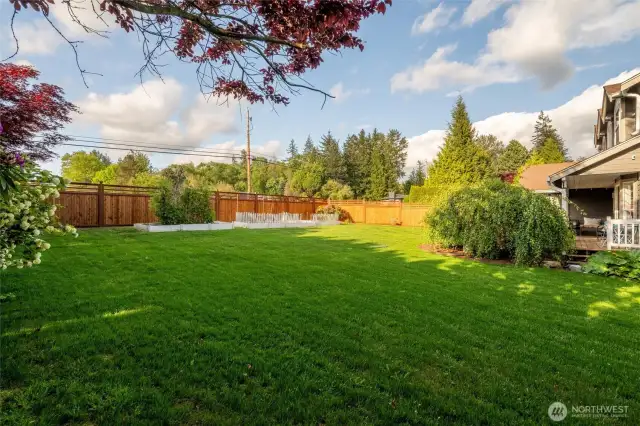 .33 acre large yard