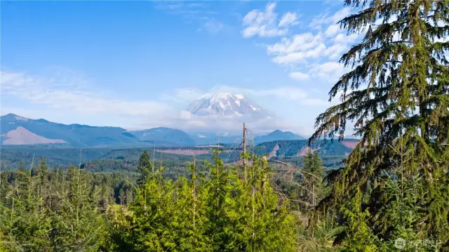 Mount Rainier is always a sight to see