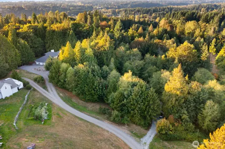 Long Private drive, shared only with 1 home