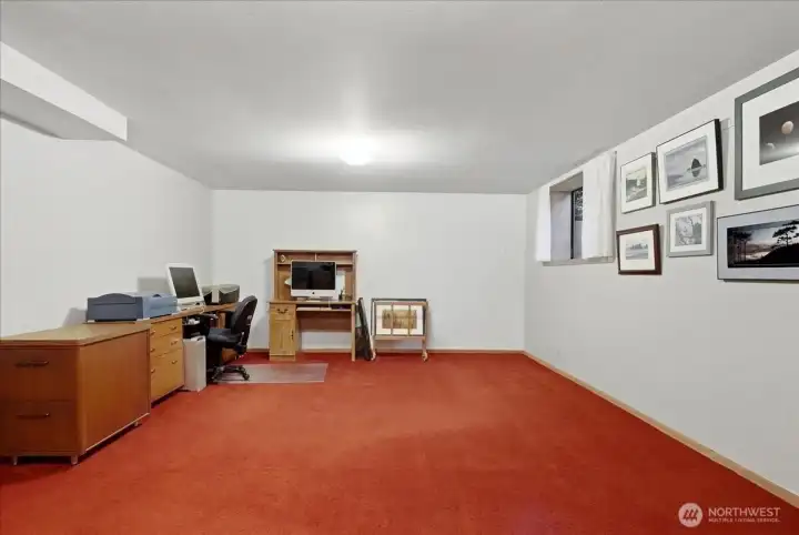 Huge Rec Room: Gym, Theater & More