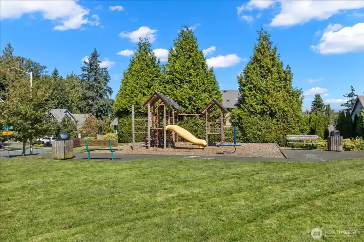 Community park.