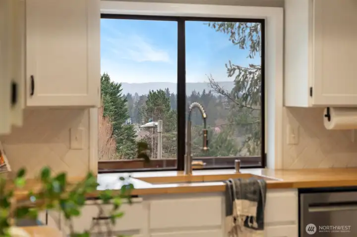 View from kitchen