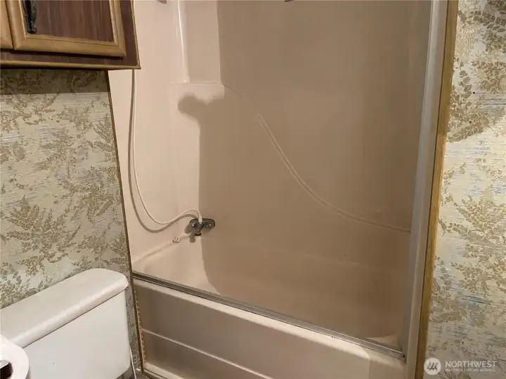 Bathtub with shower