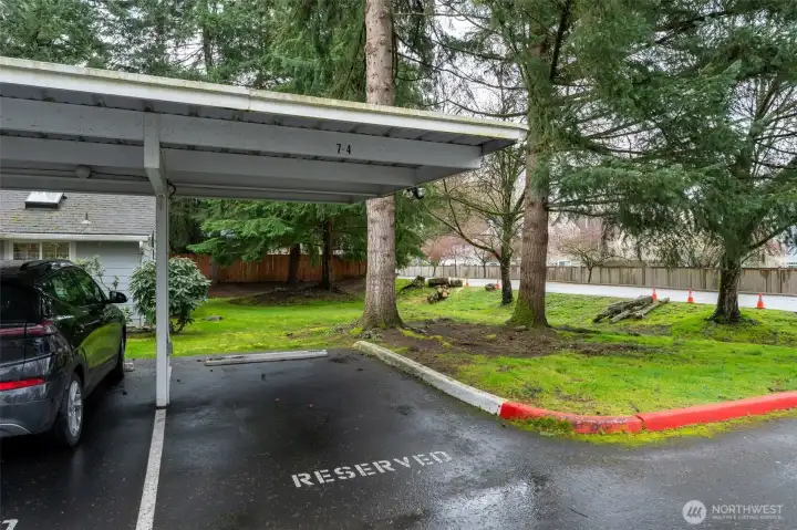 Reserved carport parking spot 7-4