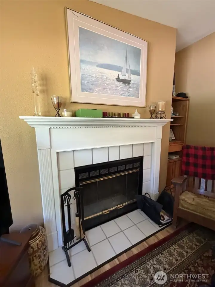 Living Room Fireplace