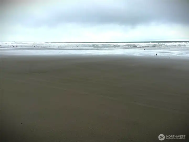 Discovery Trail - The Beach