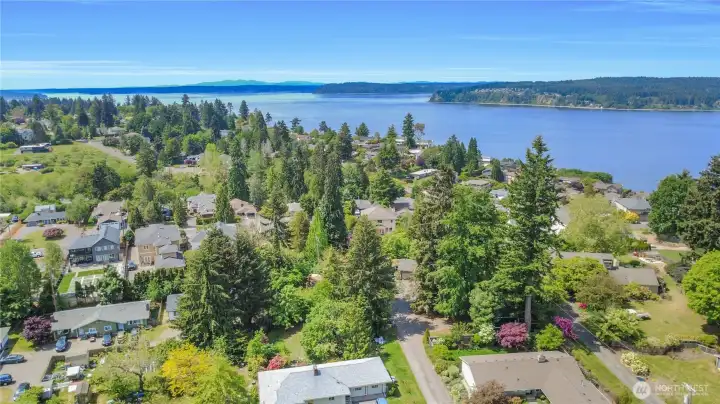 A glimpse of fox island and the Olympics nearby, orca sightings near the Narrows bridge and Chambers bay are always a possibility in the near future!